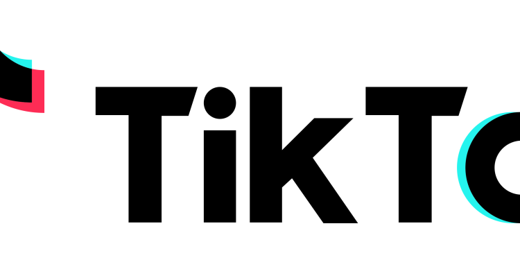 TikTok ජනාධිපතිවරණයට පෙර මැතිවරණ සහයෝගීතා උපදෙස් බෙදාහදා ගනියි