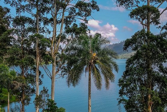 TikTok ශ්රී ලංකාවේ සැඟවුණු වටිනාකම් ඉස්මතු කරමින් සංචාරක කර්මාන්තයේ උන්නතියට කැපවෙයි