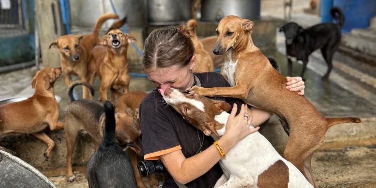 සුවහසක් සතුන්ගේ ජීවිත බේරා ගනිමින් ගොඩ නැගුණු කාරුණිකත්වයේ පාරාදීසය Animal SOS Sri Lanka