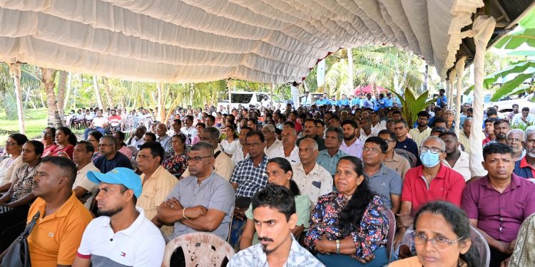 ශ්‍රී ලාංකේය කෘෂිකර්මාන්තය නවීකරණය කිරීම: HNB ‘සරුසාර’ 2025 වසරේදී රටපුරා කෘෂි ව්‍යවසායකයින් 30,000ක් සවිබල ගැන්වීමට අරමුණු කරයි