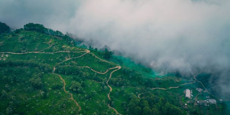 ලිප්ටන් නාමය ලොවට ගෙන ගිය දඹතැන්න වතුයායේ පුරාවෘත්තය