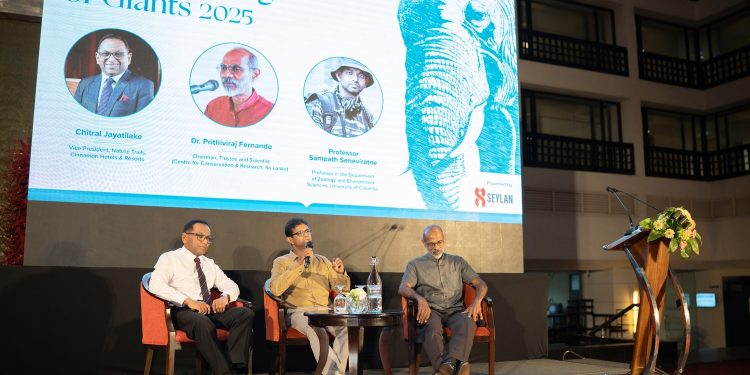 සුවිසල් වන සම්පත සුරැකිීම සඳහා වන 2025 “The Gathering of Giants” මෙවරත් සිනමන් හබරණ පරිශ්‍රයේදී