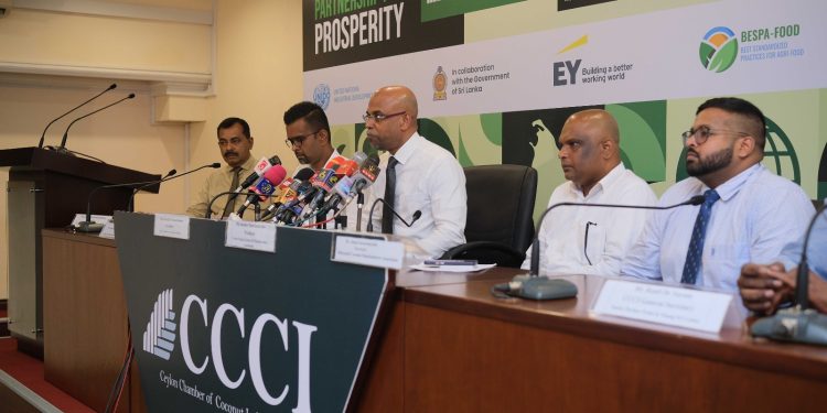 ඇමරිකා එක්සත් ජනපදය 30%ක තීරු බදු පැනවීම හේතුවෙන් මෙරට පොල් කර්මාන්තය විශාල පසුබෑමකට මුහුණ දෙයි