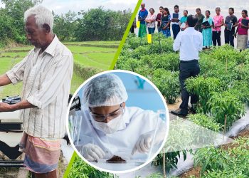 DIMO Agribusinesses, ගොවි ජනතාව කෘෂි ව්‍යවසායකයින් ලෙස සවිබල ගන්වයි