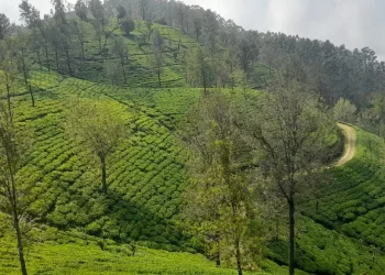 කැනවරෙල්ලා වතුයාය – 1880 සිට පැවත එන භූමිය, ජනතාව සහ උරුමය පෝෂණය කිරීම