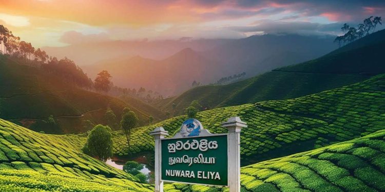 நுவரெலியா வசந்த விழா