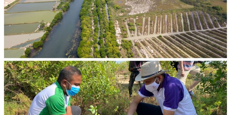 ஐ.நாவின் விருதைப் பெற்ற மறுசீரமைப்பு முயற்சியின் பங்காளர் எனும் பெருமையை பெற்ற Hemas Consumer Brands