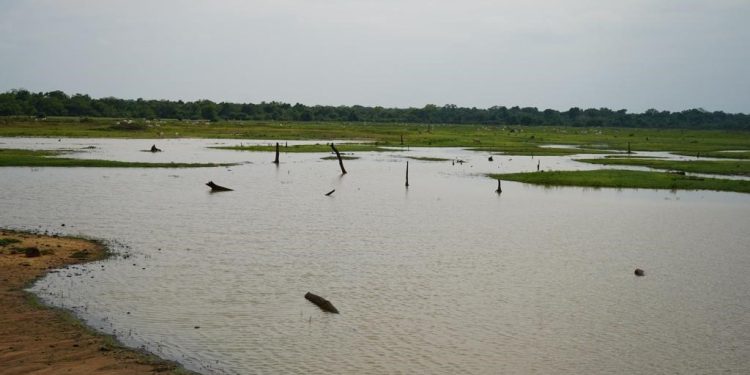 நிலையான நீர் முகாமைத்துவத்தின் மூலம் சமூகங்களை மேம்படுத்துதல்