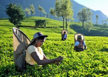 தோட்டத் தொழிலாளர்களின் நாளாந்த சம்பள உயர்வு
