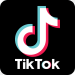 ஜனாதிபதி தேர்தலின் போது தவறான தகவல்களை தடுப்பதற்கு TikTok நடவடிக்கை
