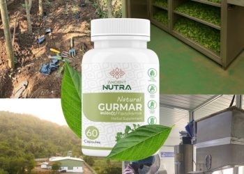“Masbedda” Gurmar Show Promising Results in Reducing Blood Sugar: Study by Ancient Nutraceuticals in Nalanda