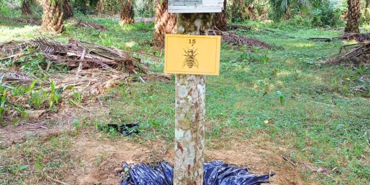 புத்தாக்கம், நிலைத்தன்மை மற்றும் கலாச்சார மரபுகளைக் கொண்ட நியூஷட்டல் எஸ்டேட்