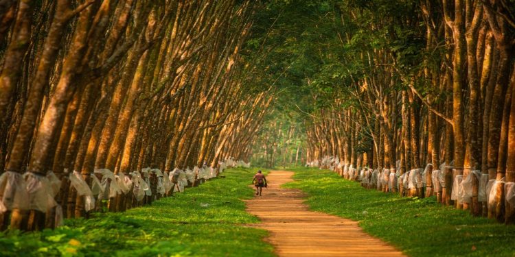 புத்தாக்கம், நிலைத்தன்மை மற்றும் கலாச்சார மரபுகளைக் கொண்ட நியூஷட்டல் எஸ்டேட்