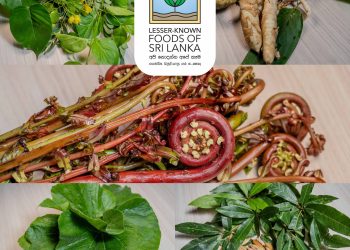 No one thinks of food as biodiversity.