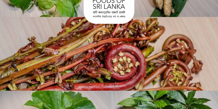 No one thinks of food as biodiversity.