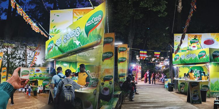 Kotagala Kahata Brings Warmth to Adam’s Peak with Tea Dansala