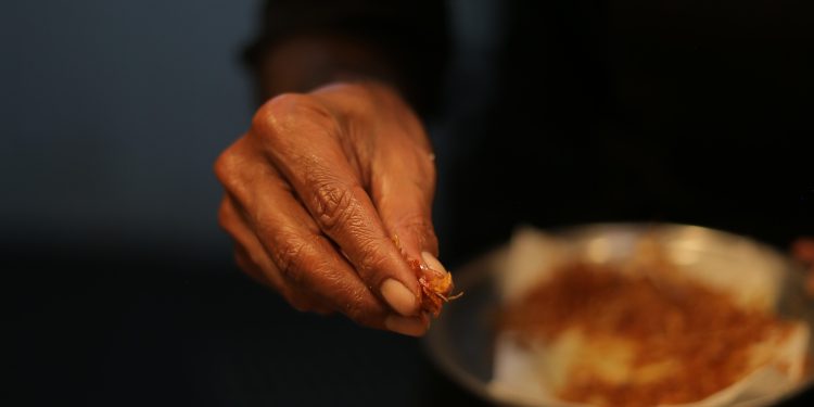 Chill Colombo: A New Culinary and Nightlife Destination at Port City Colombo