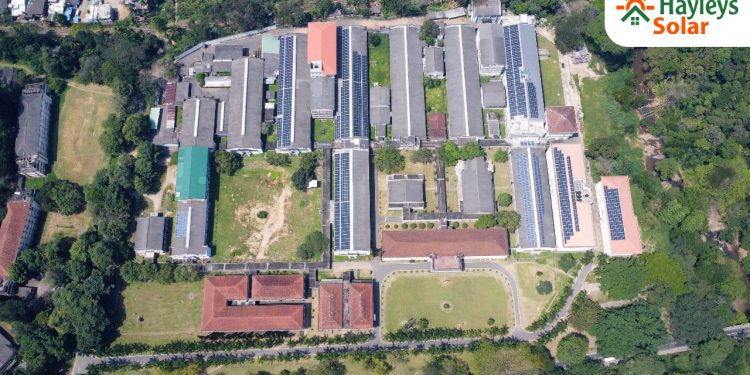 Hayleys Solar Brings Solar Power to University of Peradeniya