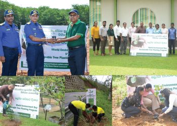 Link Natural Continues to Champion Sustainability for a Greener Sri Lanka