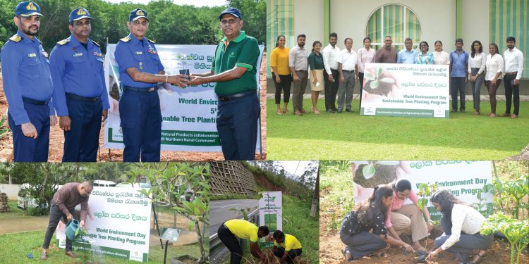 Link Natural Continues to Champion Sustainability for a Greener Sri Lanka