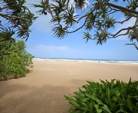 Nyne Hotels Redefines Luxury Through Sustainable Hospitality Practices