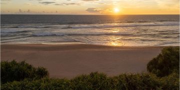 Nyne Hotels Redefines Luxury Through Sustainable Hospitality Practices