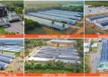 Hayleys Solar Delivers 4,036 kW Solar Installation Across Six Locations for Pussalla Meat Producers