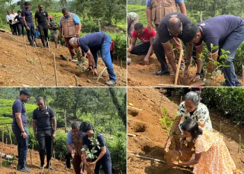 Basilur Tea celebrates International Tea Day with launch of ‘Roots of Ceylon’